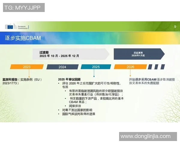 欧盟碳边境调节机制或导致进口商品价格上涨，对全球贸易带来冲击