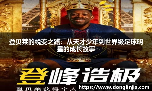 球速体育官方网址