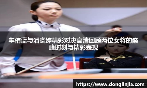 球速体育在线